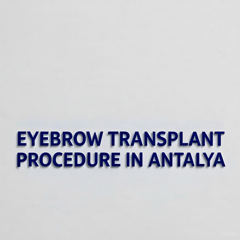 Eyebrow Transplant Procedure in Antalya